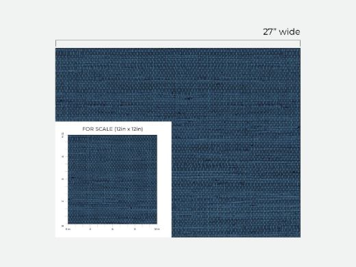 LN20202-Scale.jpg