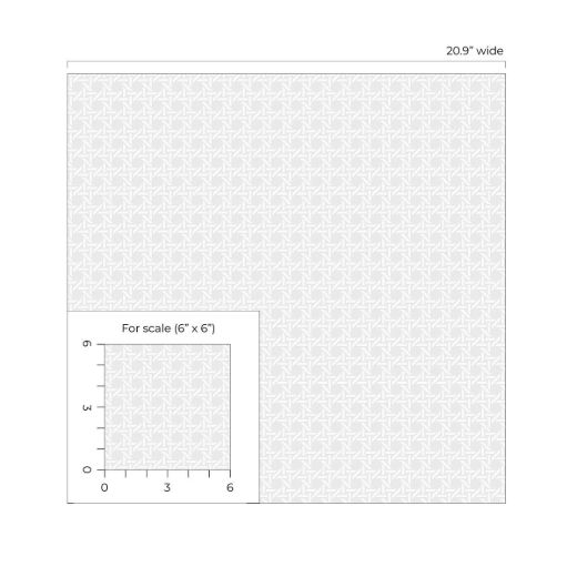 PP10700-Scale.jpg